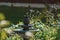 Ornamental water fountain captured surrounded by flowering plants in a garden