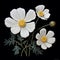 Ornamental Woodcut: A Highly Detailed Realism Painting Of Three White Flowers On Black
