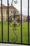 Ornamented iron fence