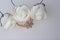 Ornaments for celebrations. Gold ring with stones and bouquet of artificial flowers. Roses beige on a white background.