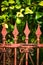 Ornate antique Victorian iron metal garden fence