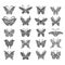 Ornate butterfly collection for your design