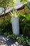 Ornate column in formal Balinese garden