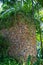 Ornate column in formal Balinese garden