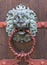 Ornate door knocker side view Lion sculpture