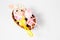 Ornate eggshells as ship - lamb in the nest - hand made easter decoration