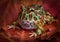 Ornate frog on fall leaves