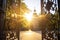 ornate metalwork of a historic gate under sunlight