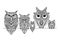 Ornate owl, zenart for your design