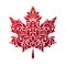 Ornate red maple leaf on white background