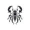 Ornate Scorpio Icon, Scorpion Isolated, Chinese Horoscope Minimal Scorpius Symbol on White