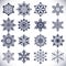 Ornate snowflake shapes