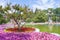 Ornate swan styled fountain in formal garden