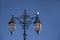 Ornate victorian style street lighting with seagull.