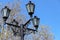 Ornate vintage wrought iron lamppost