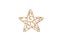 A ornate wood star on a white background