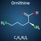 Ornithine non-proteinogenic amino acid molecule, is used in the urea cycle. Structural chemical formula on the dark blue
