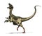 Ornitholestes Dinosaur