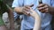 Ornithologist man showing bird to children hand close-up