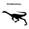 Ornithomimus dinosaur silhouette