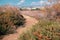 Oroklini lake area in the dry season