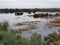 Oroklini lake with plants and birds in Larnaca district of Cyprus Island