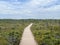 Orono Bog Boardwalk, Bangor, ME