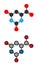 Orotic acid molecule