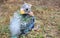 Orphaned baby Australian Rosella