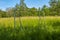 Orphaned, lonely football field