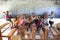 Orphans in an orphan boarding school on Mfangano Island, Kenya.