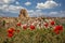 Ortahisar fortress in Cappadocia, popular tourist destination, front view with red poppies in the foreground