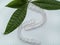 Orthodontic clear aligner to straighten teeth, Clear plastic invisible teeth aligners with green leafs. Environment friendly