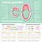 Orthodontist human tooth anatomy vector infographics with teeth diagrams