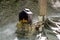 Orthodox candles in the forest under a tree in a box. The prayer stone by the road