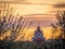 Orthodox Church at sunset among blooming gardens in spring.