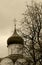 Orthodox cross on a background of the gray autumn sky.