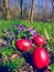 Orthodox Easter celebrations. eggs painted red trough Viola odorata flowers in the green glade near the forest