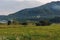 Orthodox monastery in a forest valley. Natural landscape. Transcarpathia Ukraine