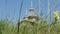 An Orthodox Wooden Church in Ruyan, Russia