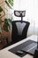 Orthopaedic chair for work at home. Minimalism home office interior with plants
