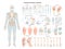 Orthopedic diseases set. Human skeleton, ligament and joints injuries