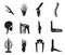 Orthopedic and spine icon set on white background.