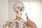 Orthopedist pointing on skeleton model in clinic, closeup