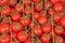 Ortiga  Market , Syracuse, tomatoes