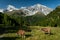 The Ortler Alps near Sulden on a sunny day in summer