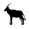 Oryx Antelope Icon Vector