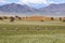 Oryx antelopes in Wolwedans, Namibia