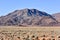 Oryx and Desert Landscape - NamibRand, Namibia