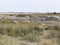 Oryx or gemsbok, a zebra, and a wildebeest or gnu in the desolate landscape of Etosha National Park, Namibia. The wild African